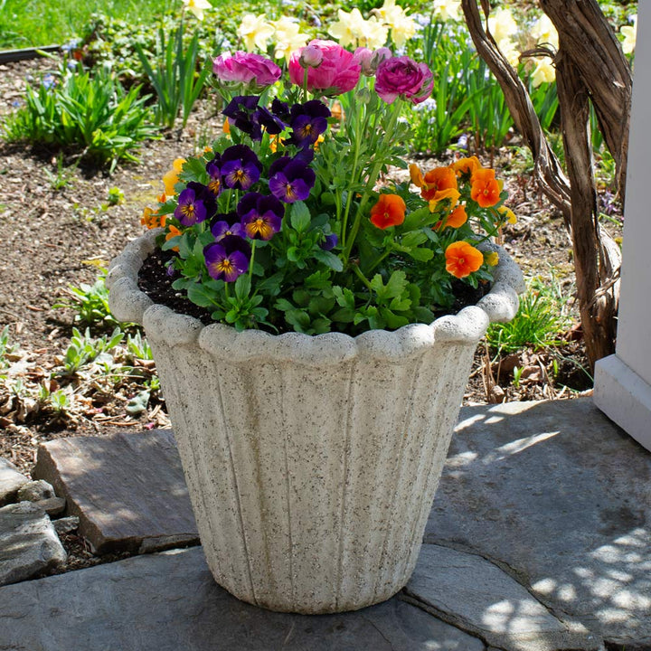 Avignon Flower Pot