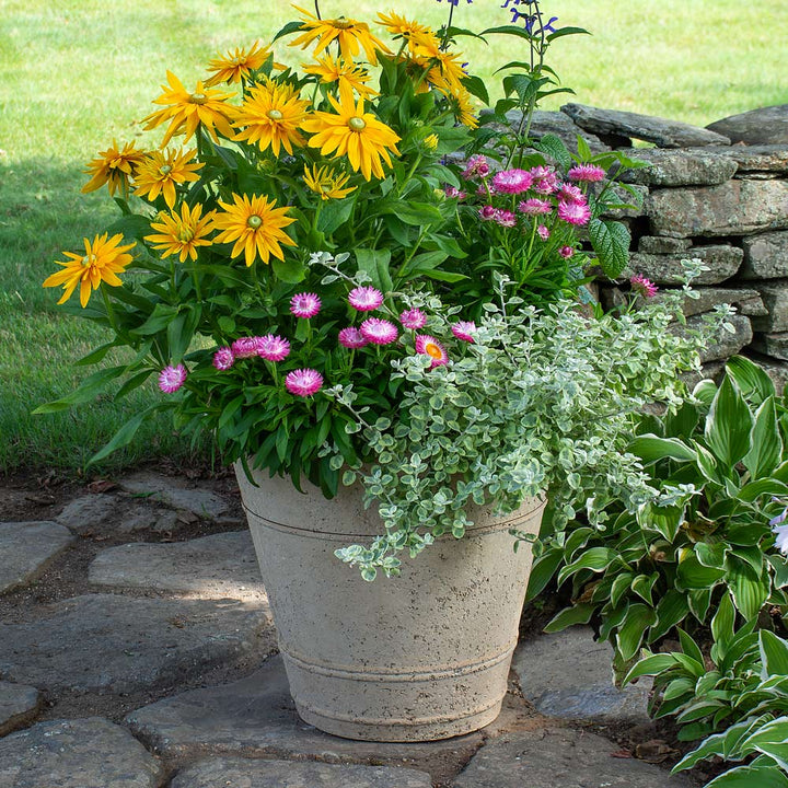 Etna Ringed Planter