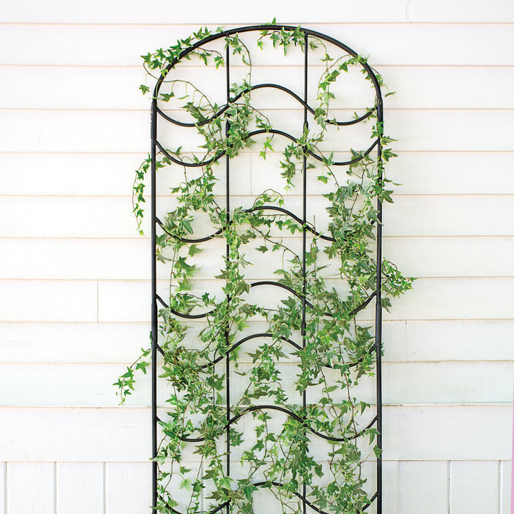 Waves of Bloom Trellis