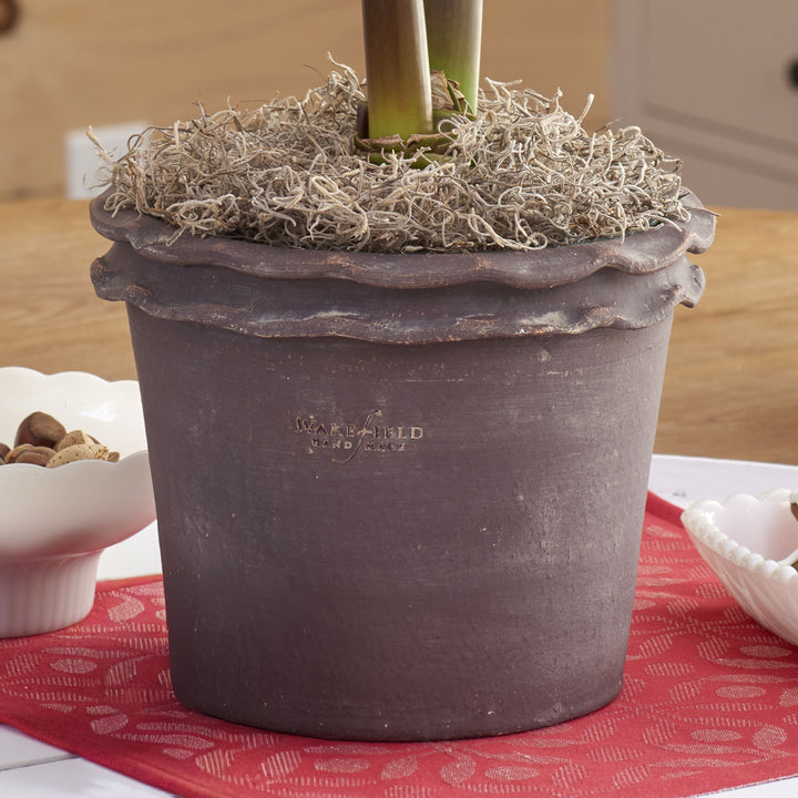 Double Piecrust Pot