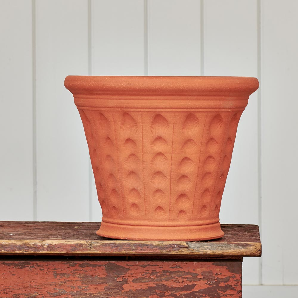 Cockleshell Pot