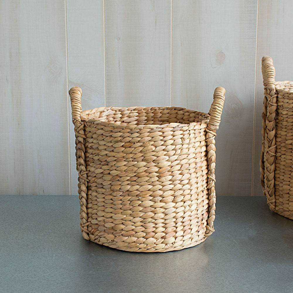 Chinese Fan Palm in Water Hyacinth basket