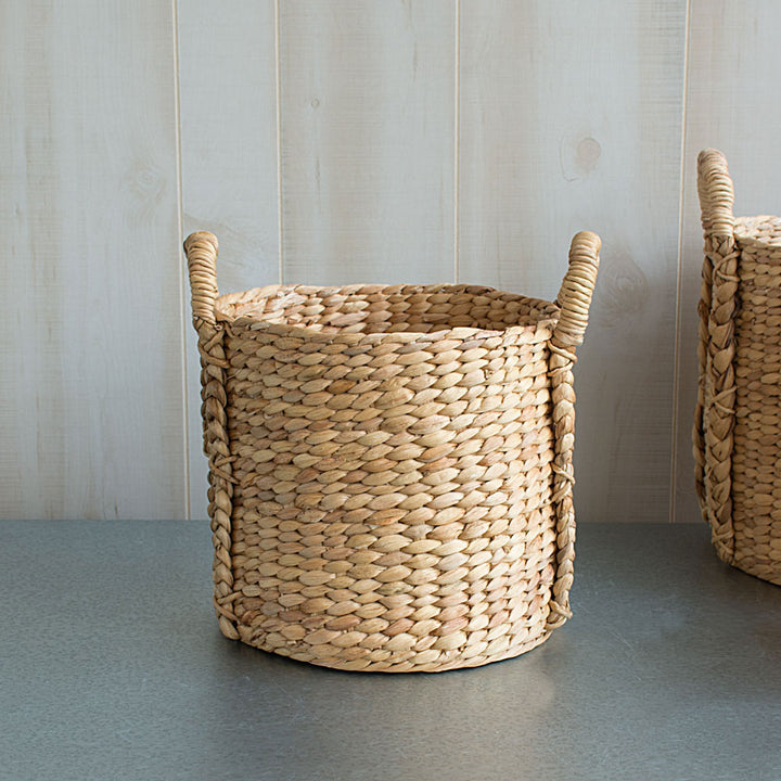 Chinese Fan Palm in Water Hyacinth basket
