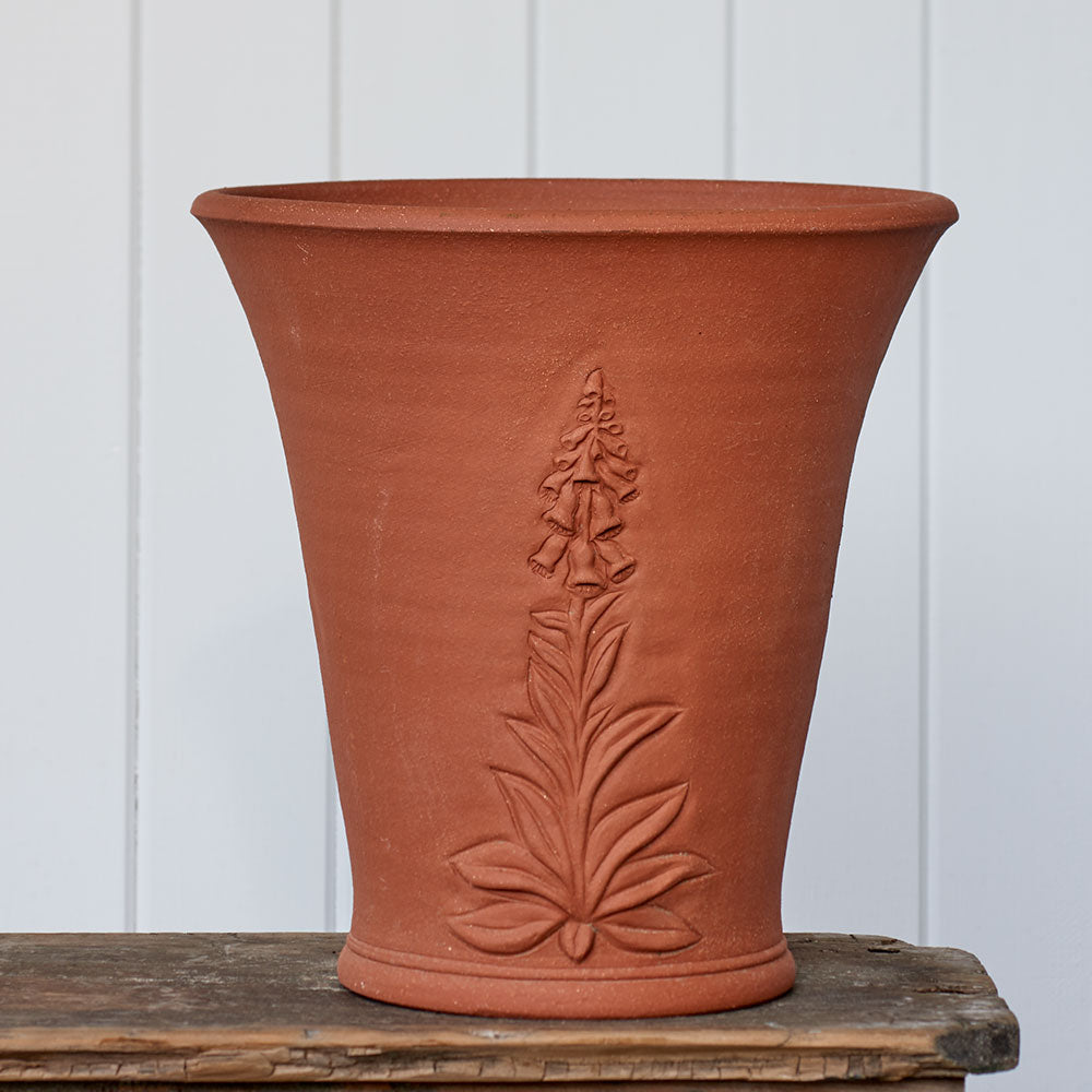 RHS Foxglove Flowerpot