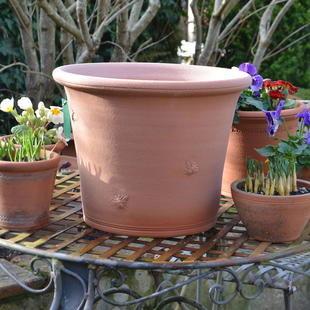 Armscote Bee Pot