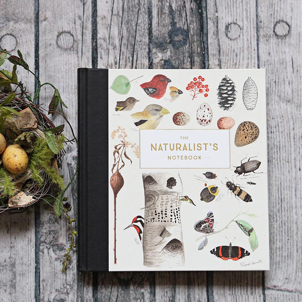 The Naturalist's Notebook
