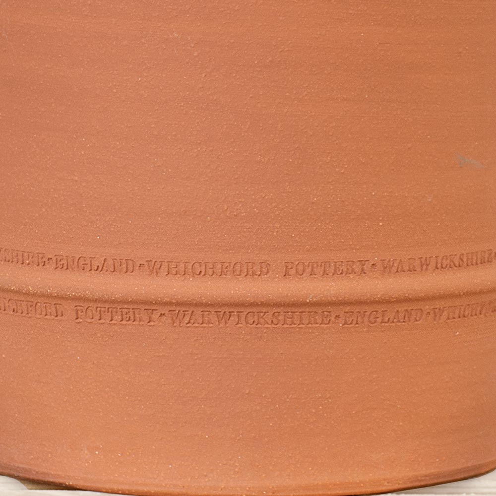 Buxus Pot