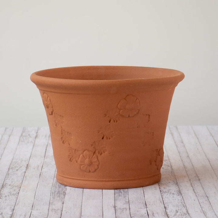 Whichford RHS Creeping Buttercup Planter