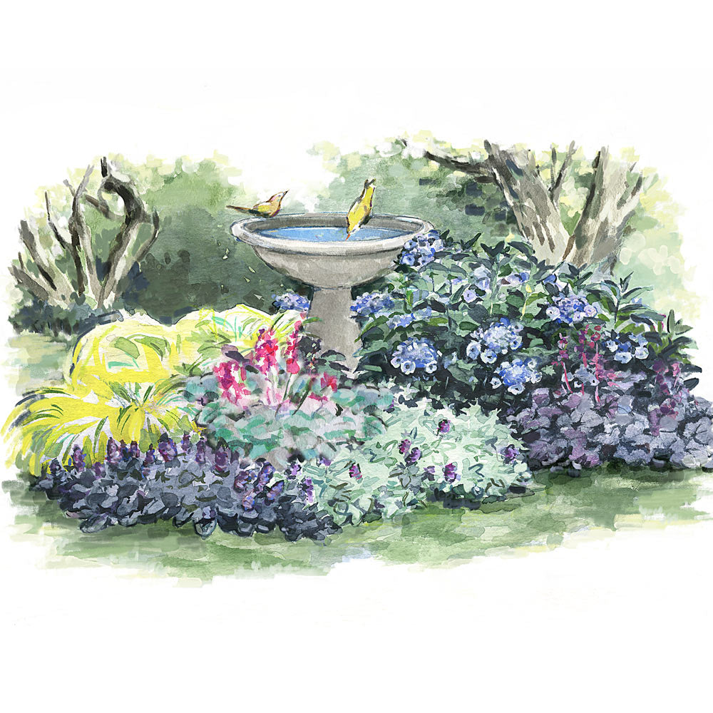 Small Space Shade Garden