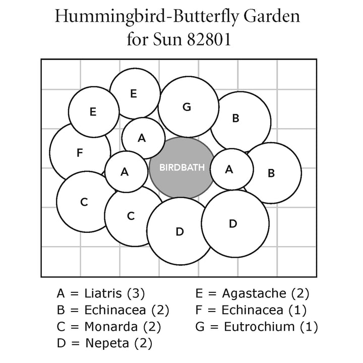 Hummingbird-Butterfly Garden for Sun