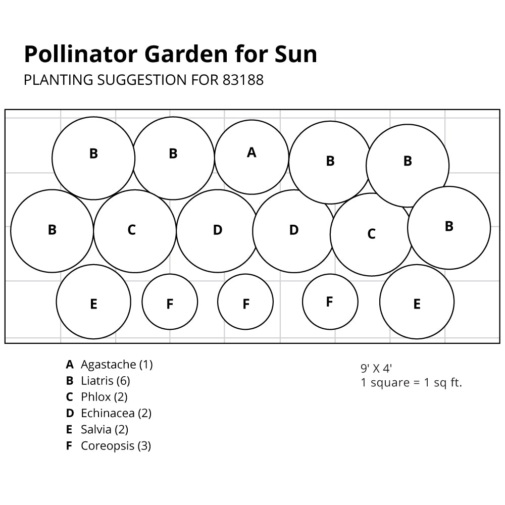 Pollinator Garden for Sun