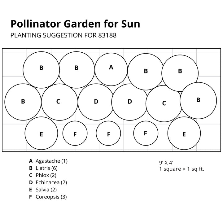 Pollinator Garden for Sun