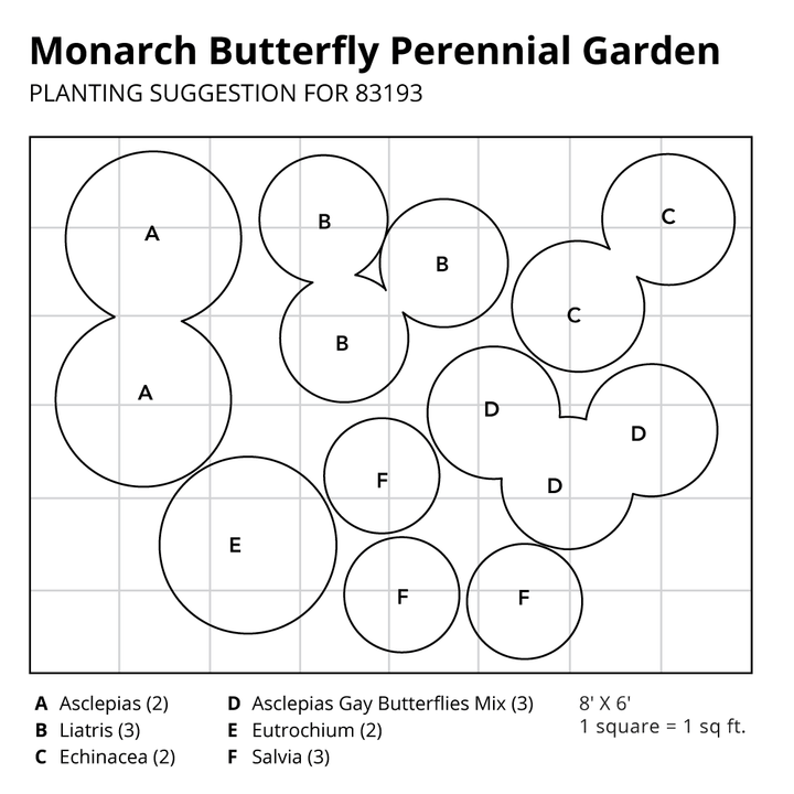 Monarch Butterfly Perennial Garden