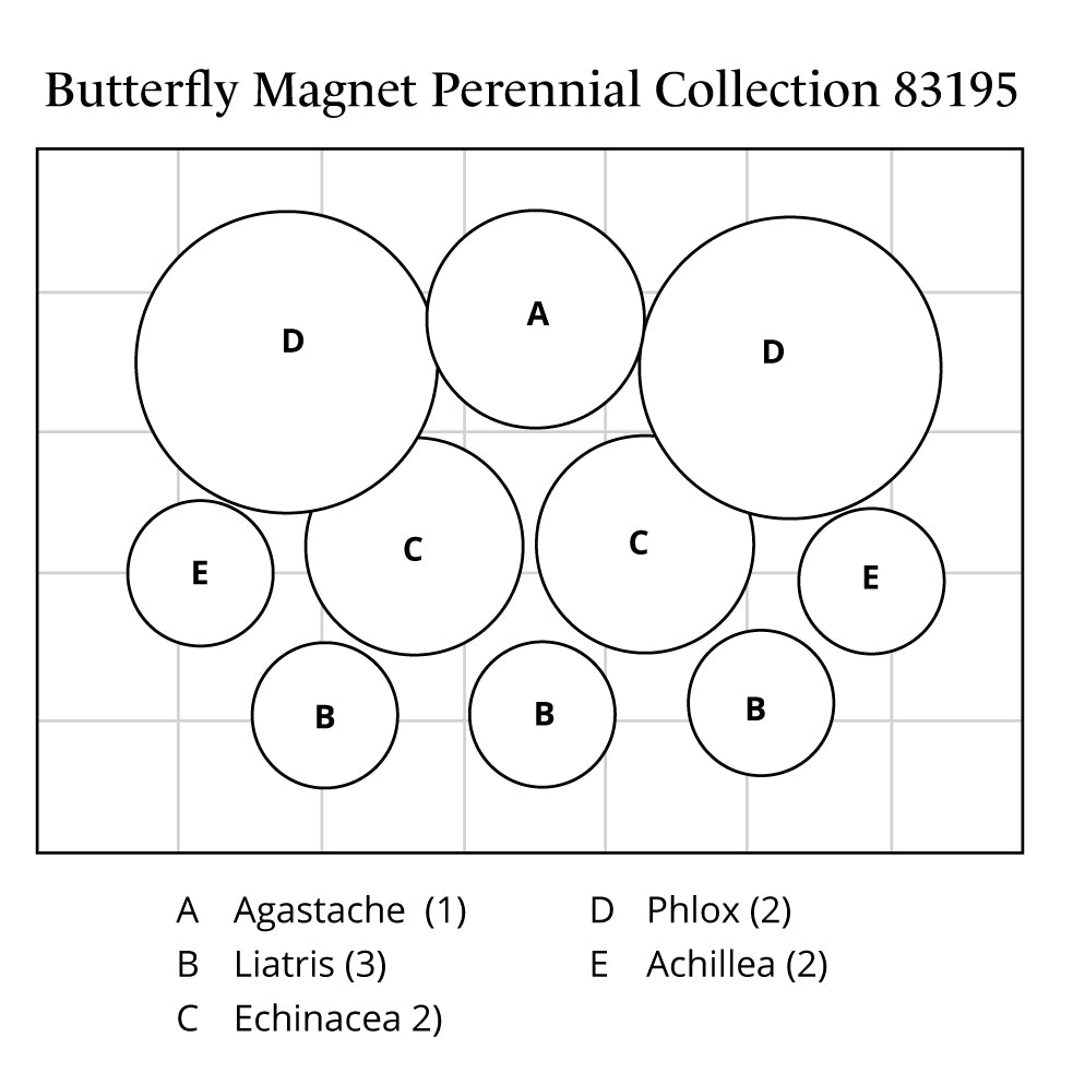 Butterfly Magnet Perennial Collection