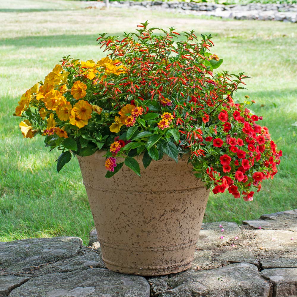 Etna Ringed Planter
