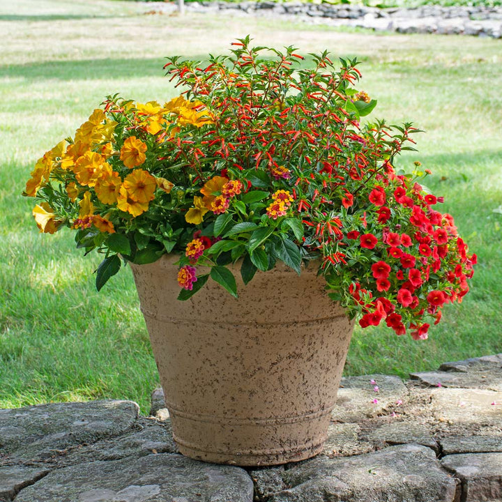 Etna Ringed Planter