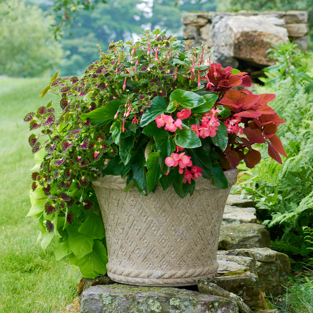 Milano Basket Weave Planter