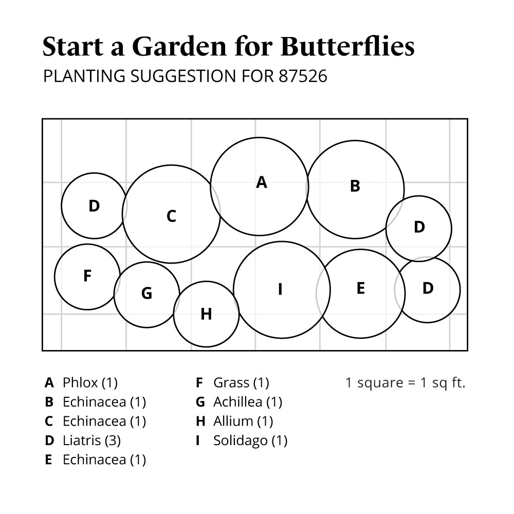 Start a Garden for Butterflies