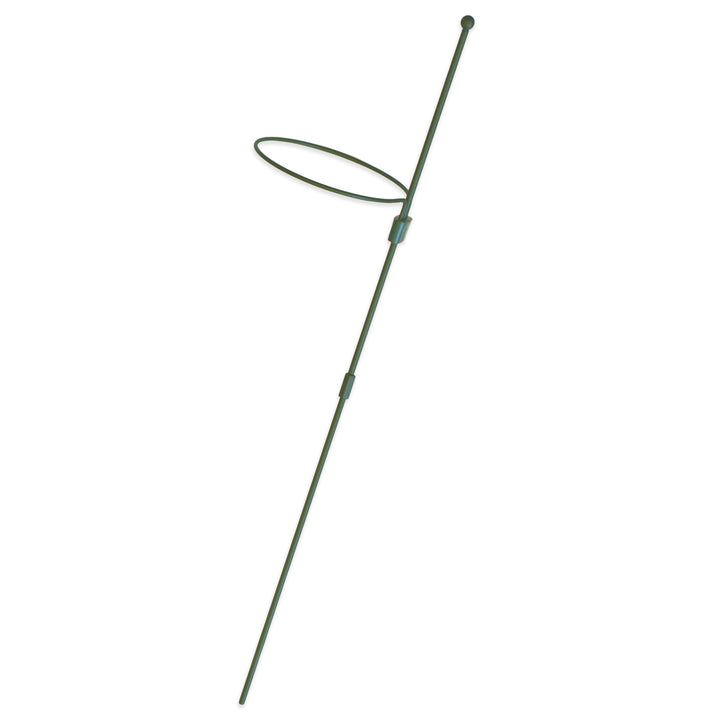 Dark Green Amaryllis Stake
