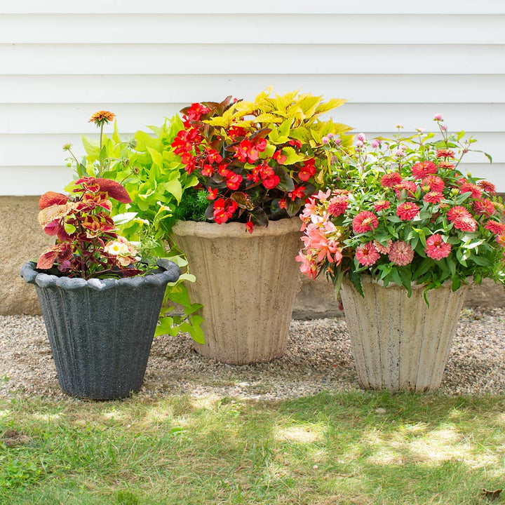 Avignon Planter, Medium, Charcoal