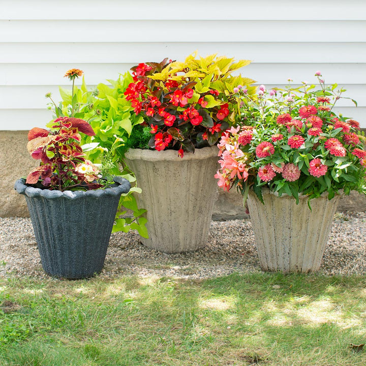 Avignon Flower Pot