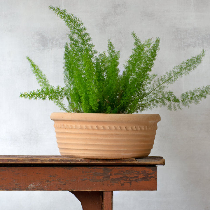 Cretan Pot Aristea