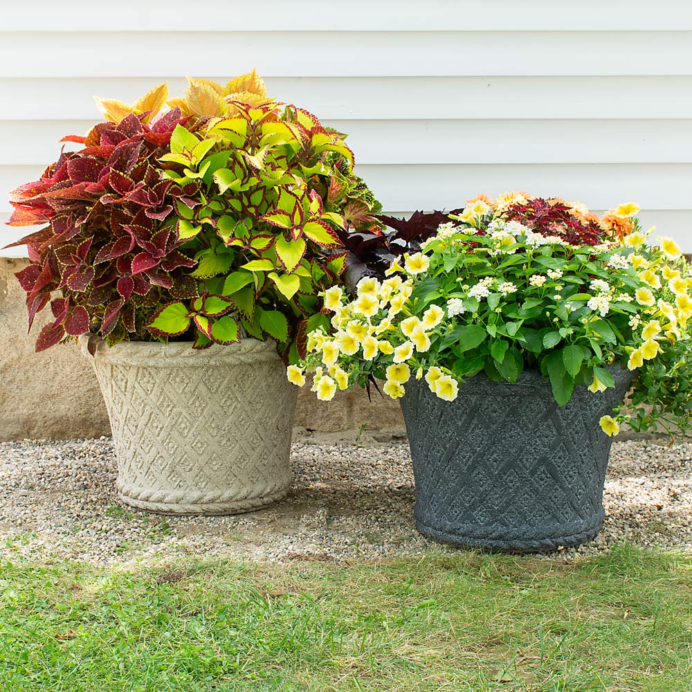 Milano Basket Weave Planter