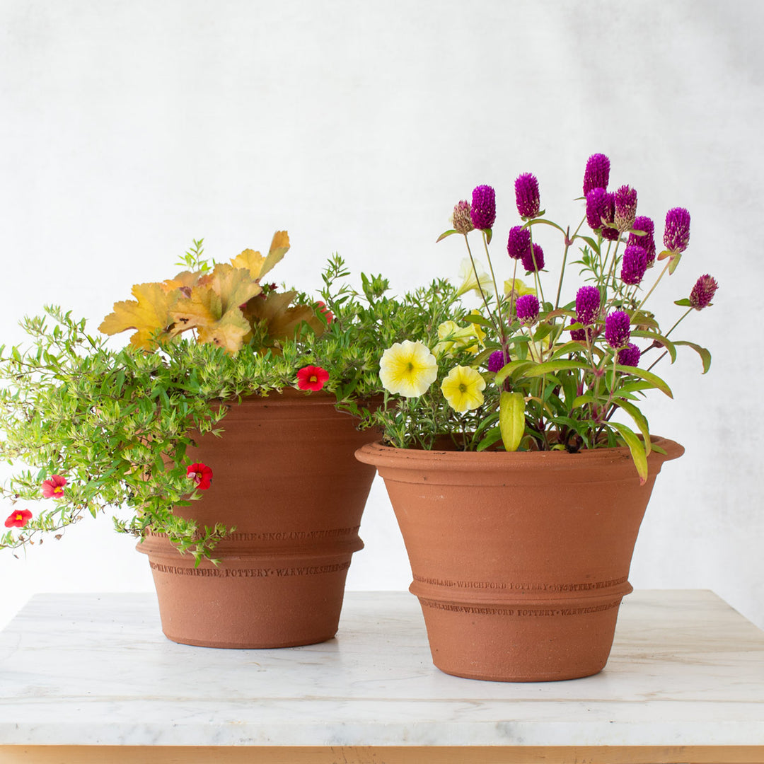 Orange Pot