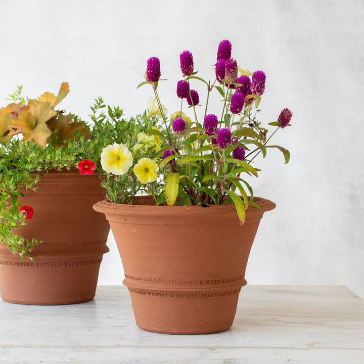 Orange Pot