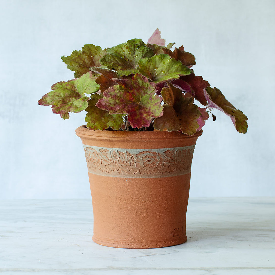 Whichford Poppy Pot