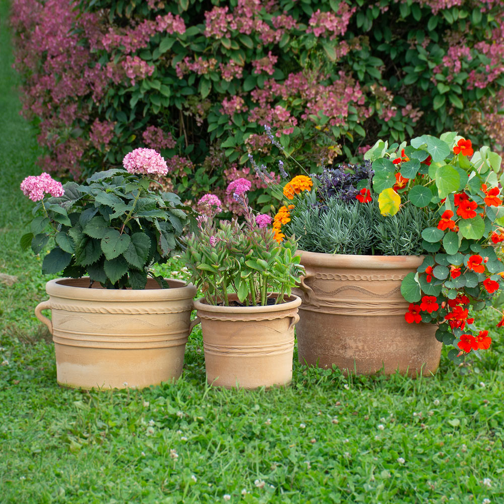 Cretan Pot Panos