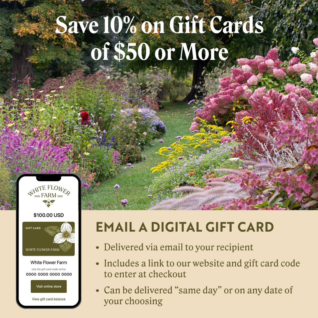 White Flower Farm Gift Card by Email
