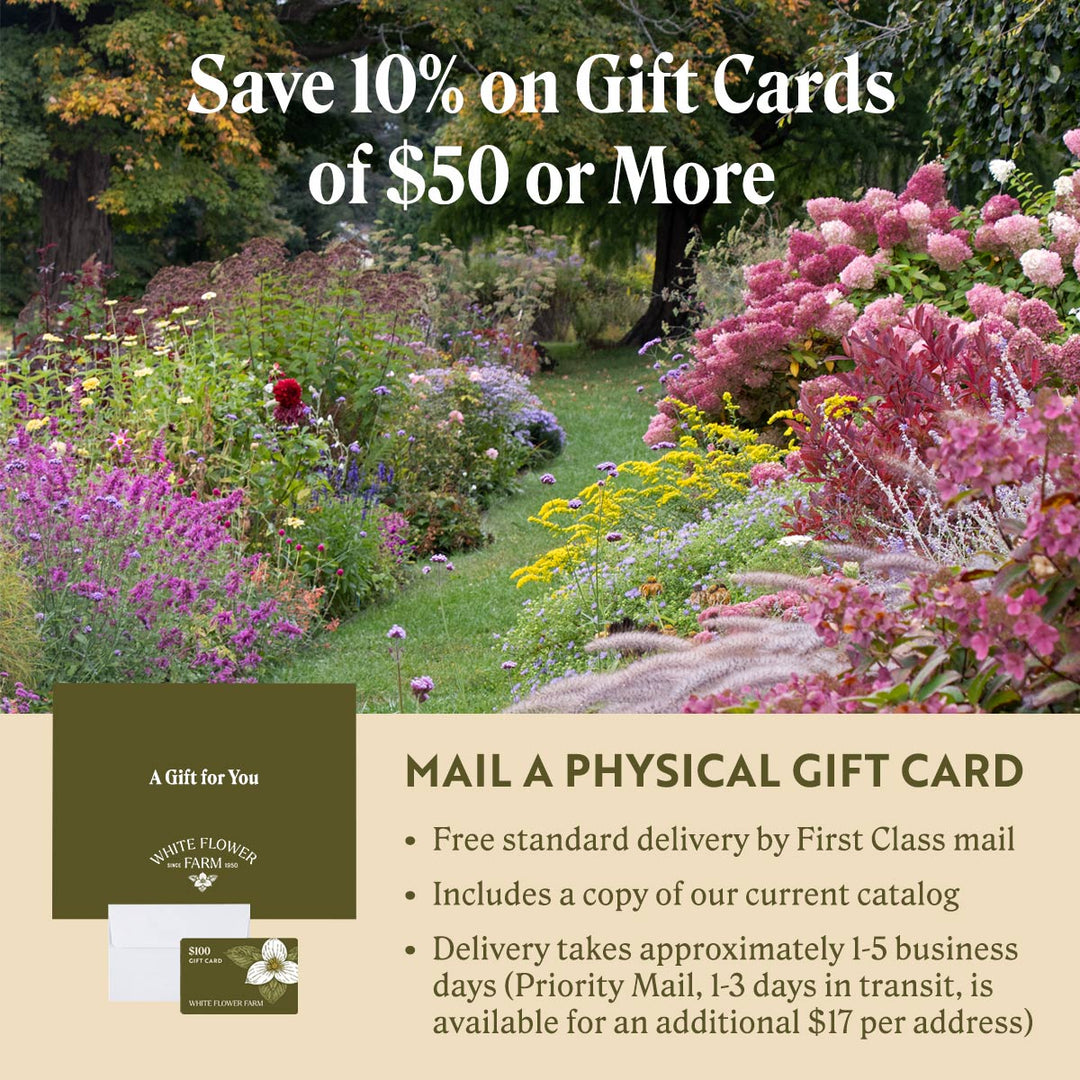 White Flower Farm Gift Card by Postal Mail