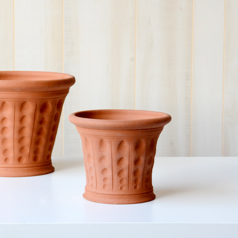 Cockleshell Pot