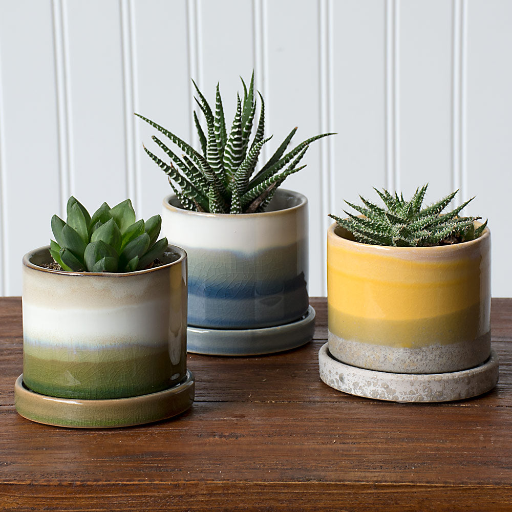 Mission Beach Pot