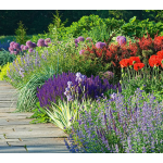 Display Gardens