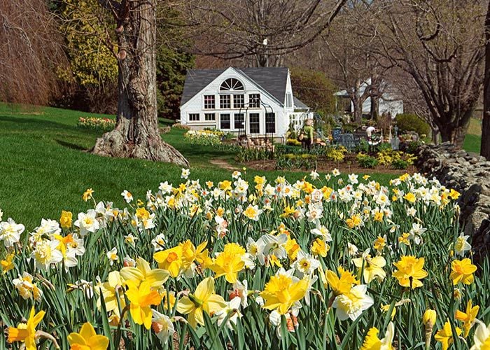 Careers White Flower Farm