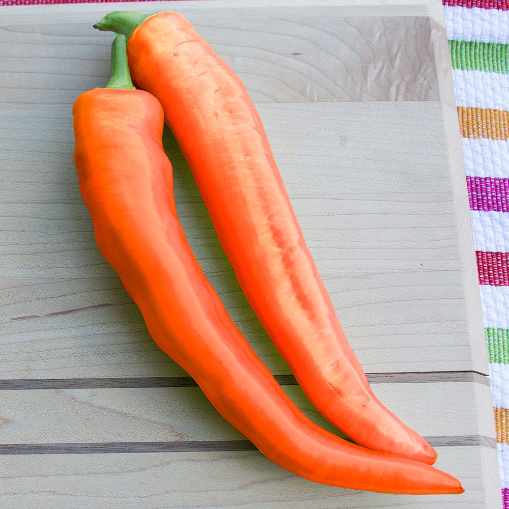 Banana Pepper Hot Sunset