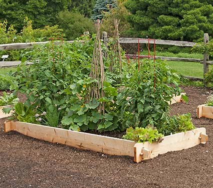 White Cedar Raised Beds White Flower Farm