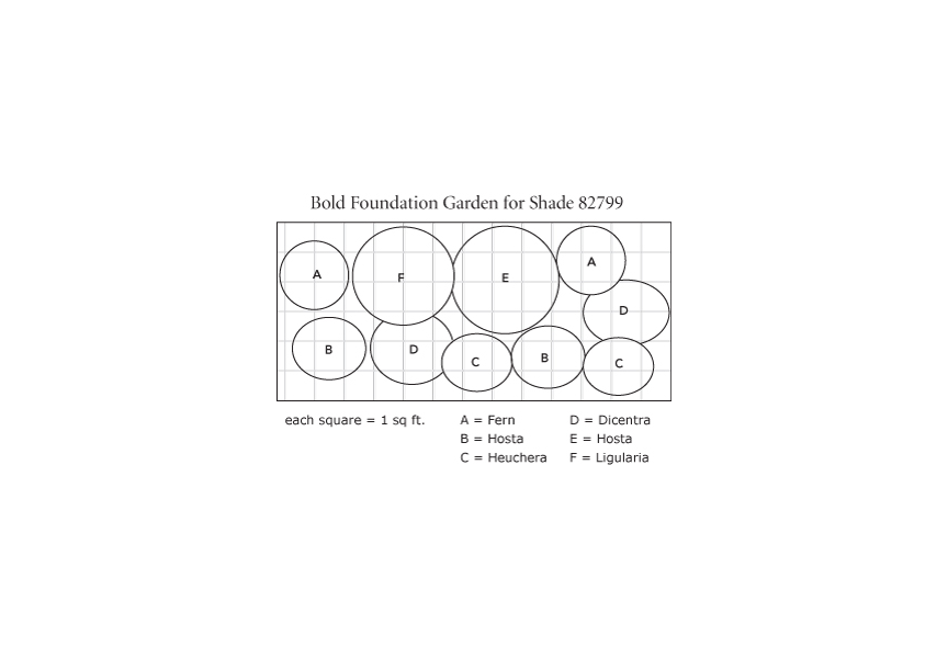 Bold Foundation Garden for Shade White Flower Farm