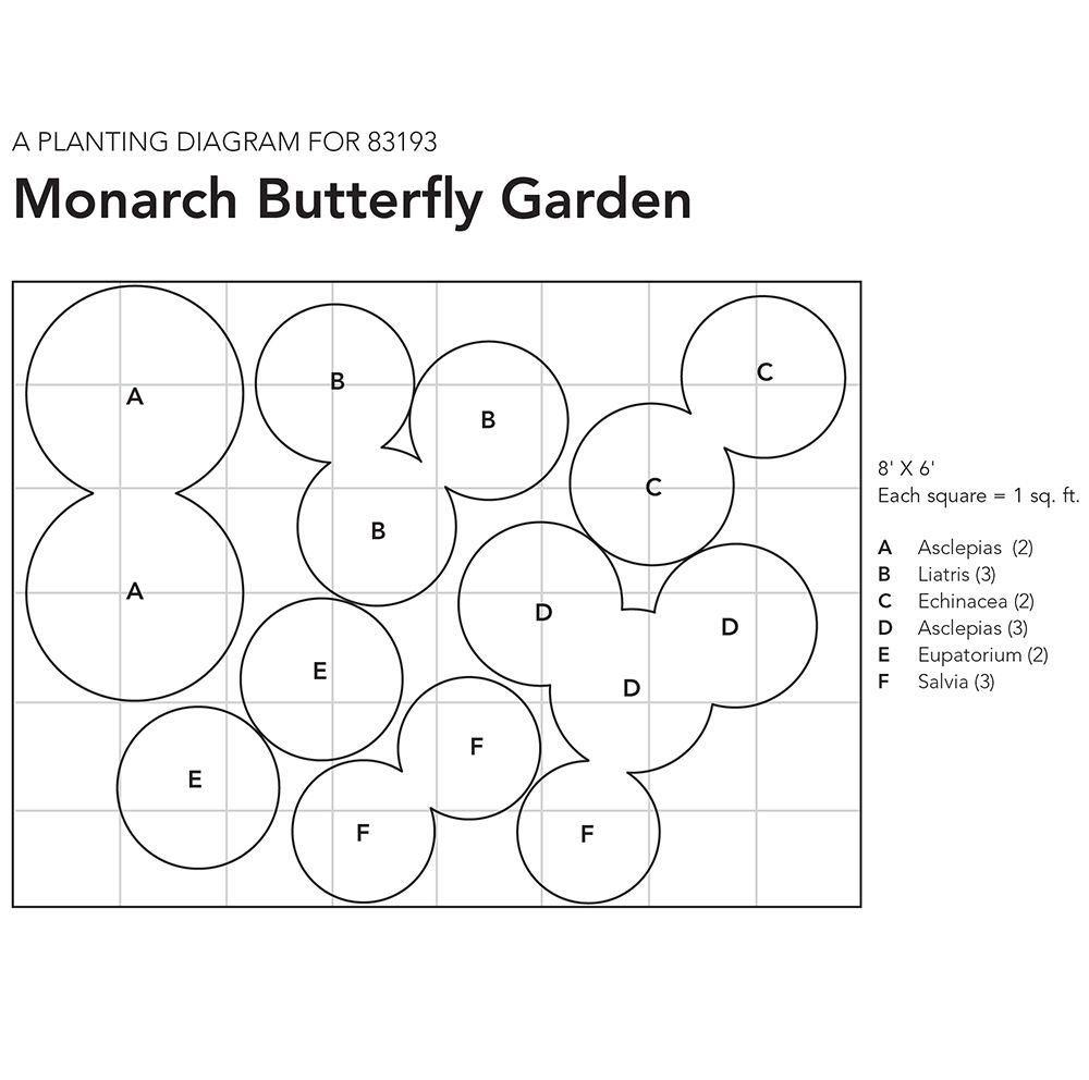 Monarch Butterfly Perennial Garden White Flower Farm