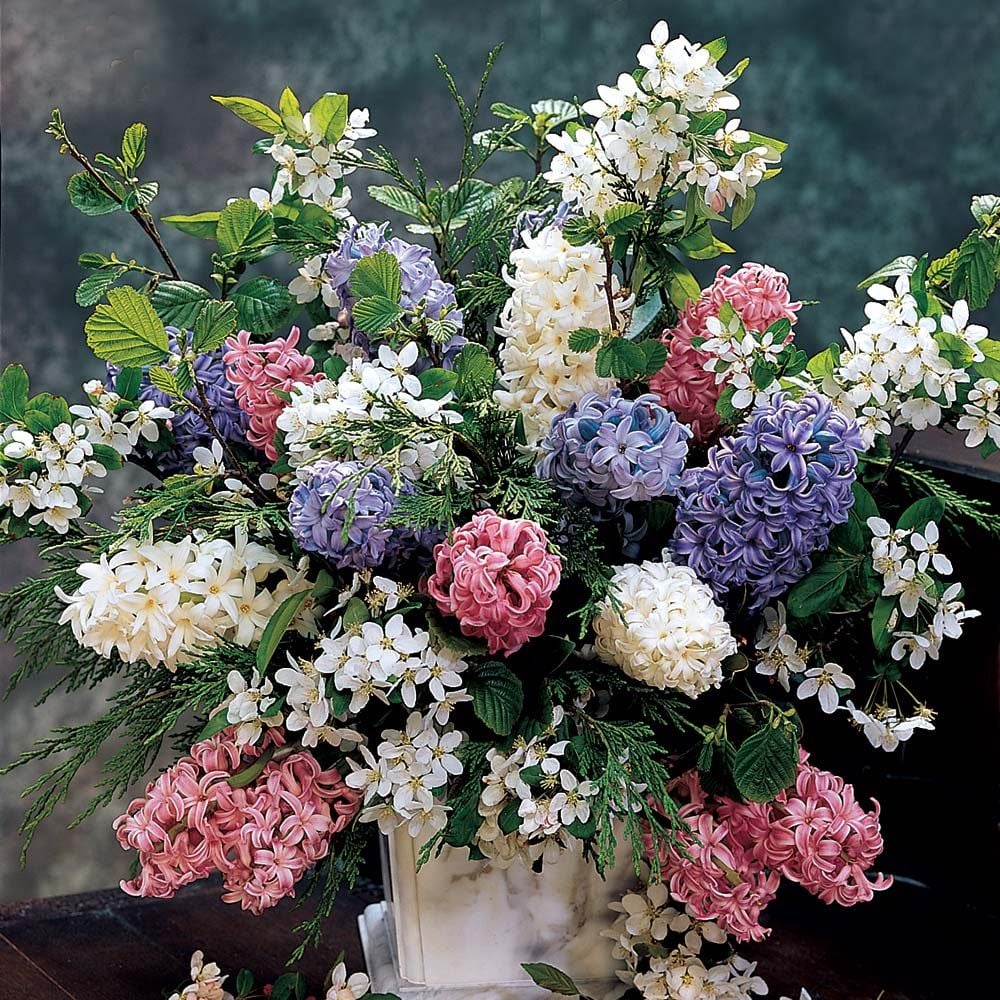 Hyacinthus May Day Bouquet Mix White Flower Farm