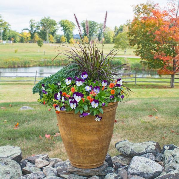 Fall Color Annual Collection White Flower Farm
