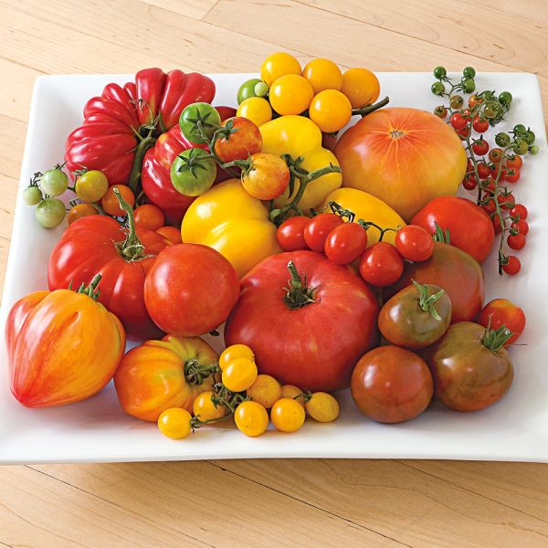 Set of 6 Heirloom Tomatoes White Flower Farm
