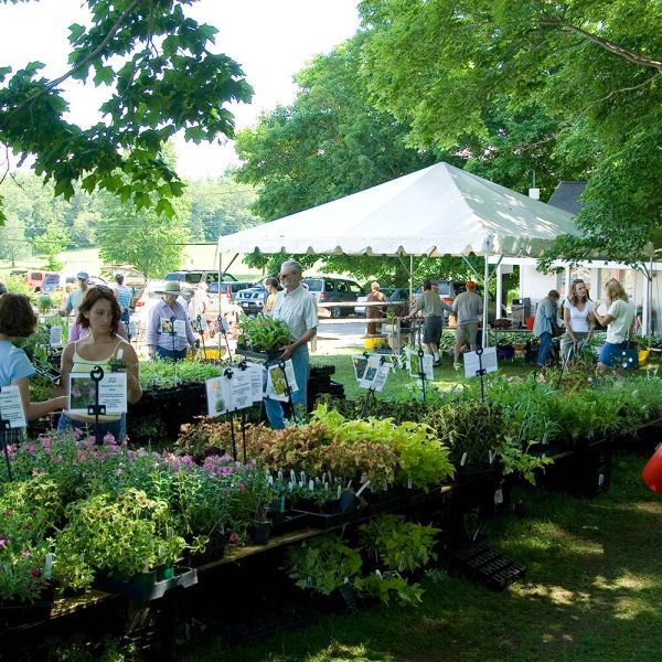 <strong>Friday & Saturday, June 9 & 10 - 9:00 a.m. - 4:00 p.m., rain or shine </strong> White Flower Farm Spring Tent Sale