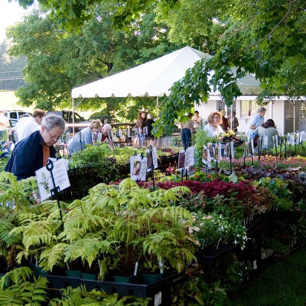 White Flower Farm Tent Sale White Flower Farm