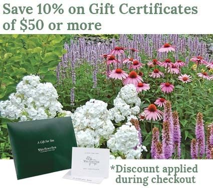 Gift Certificate White Flower Farm