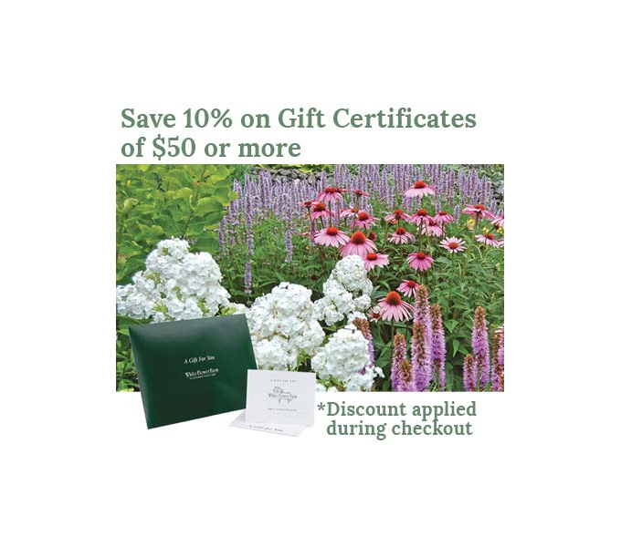 Gift Certificate White Flower Farm