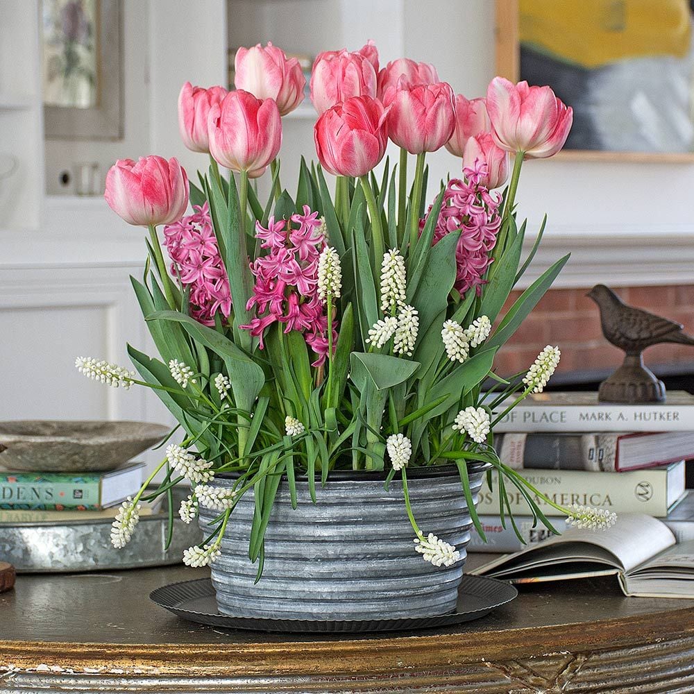 Pink Chiffon Bulb Collection in large metal cachepot