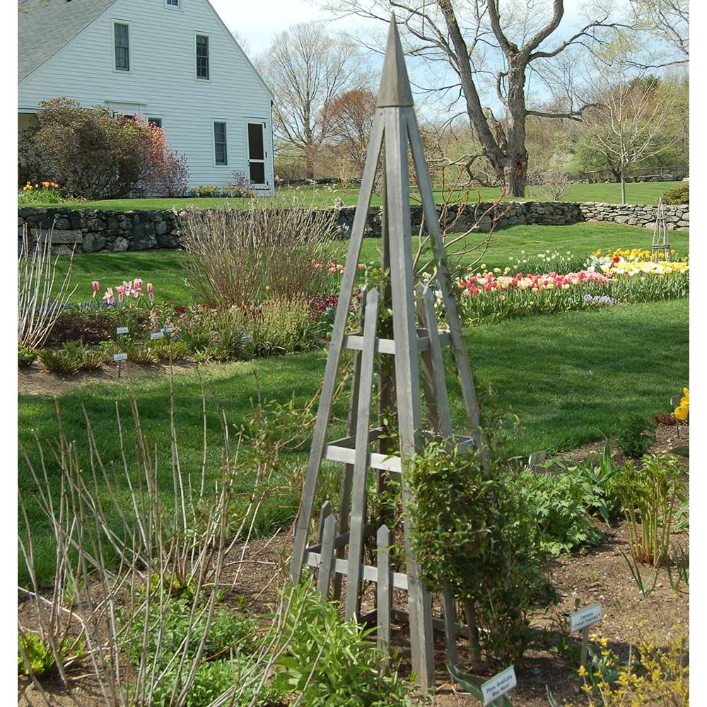 Cedar Tuteur White Flower Farm